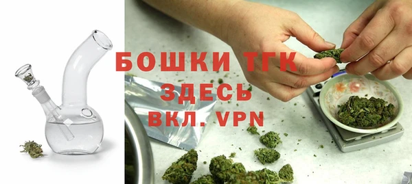 дурь Осинники