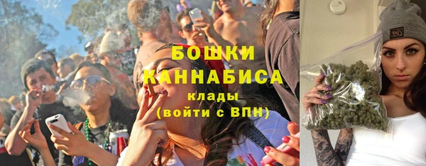 дурь Осинники