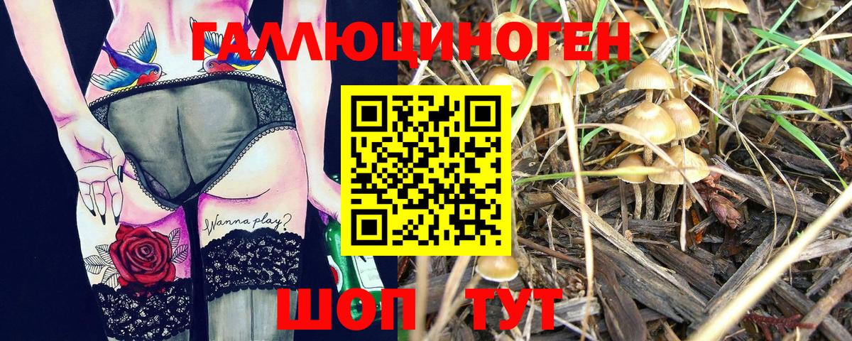 Галлюциногенные грибы Cubensis Родники